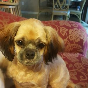 Meet your Posher, Bertha